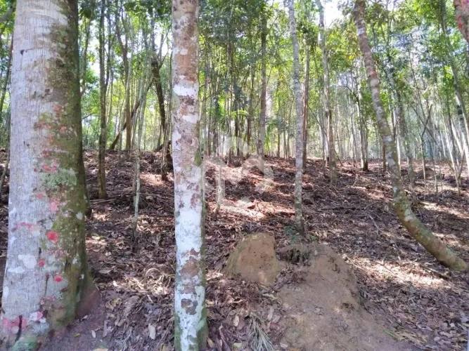 Terreno - Fazenda Boa Fé Teresópolis RJ