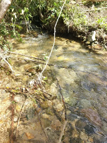 Sítio em Águas Mornas 4 hectares 