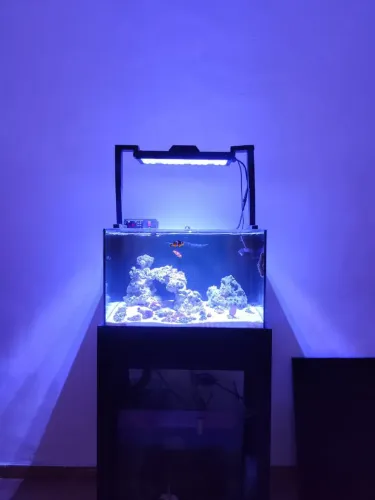 Aquário 96 litros vidro extra clear