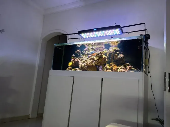 Aquário marinho completo 