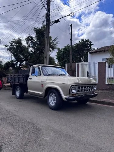 Chevrolet D-10 Diesel 1980