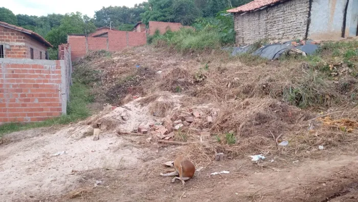 Terreno 10x30