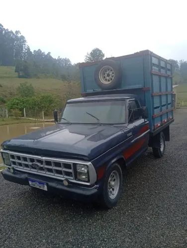 Ford F-1000 S. S. Diesel / S.s. Diesel Turbo 1981