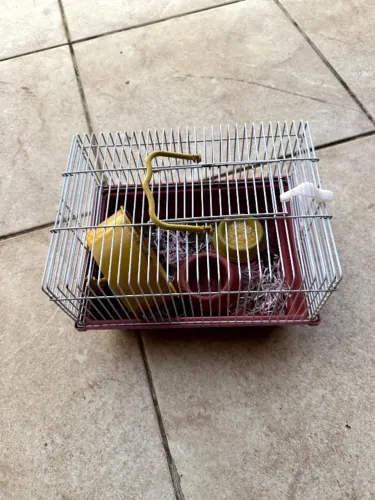 Gaiola de Hamster