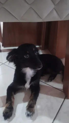 Doação