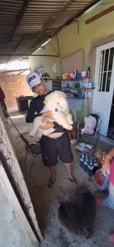 Cachorro ?