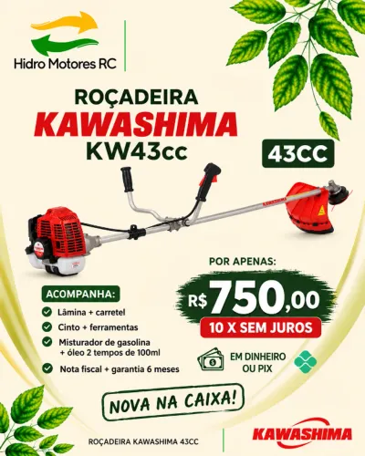 Roçadeira 43cc - R$ 750,00