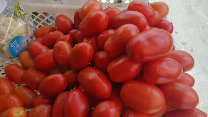 Hortifruti e peixaria 