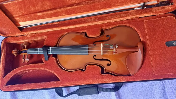 Violino Eagle ve441