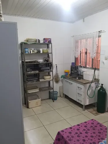 Distribuidora de Acessorios e Peixes Ornamentais, Nacionais e Importados