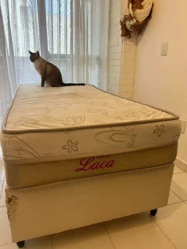 Cama de solteiro por R$ 200