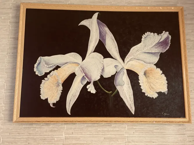 Quadros em pintura a óleo 