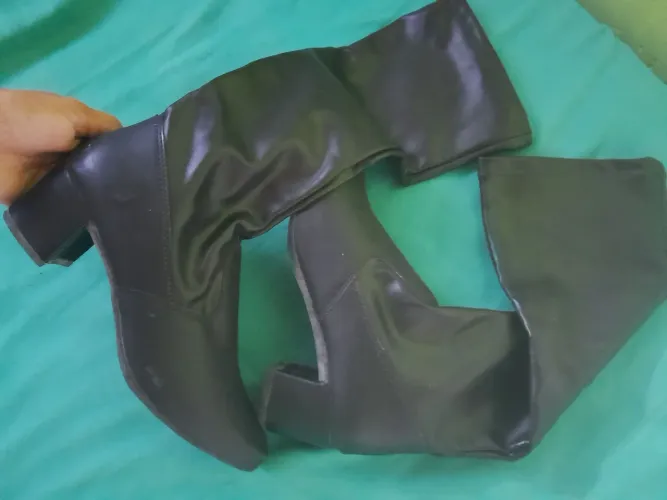 Bota