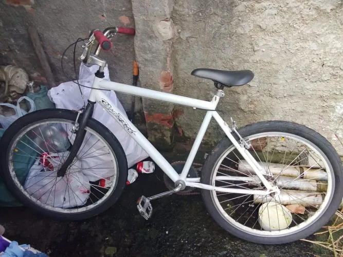 Bicicleta