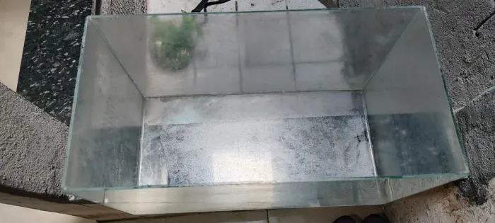 Aquario