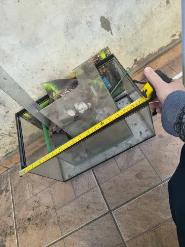 Aquário para peixe ou outros