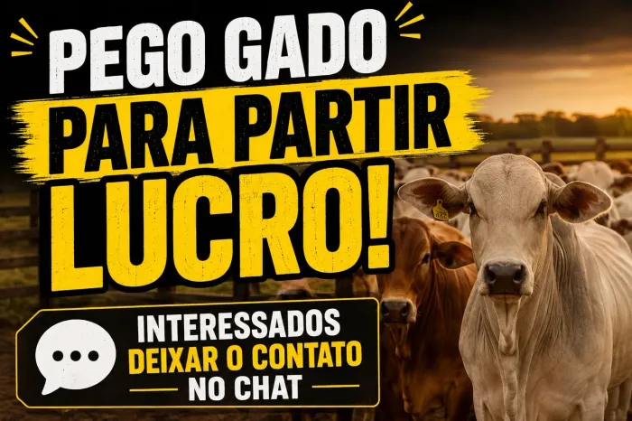 Pego gado para partir lucro