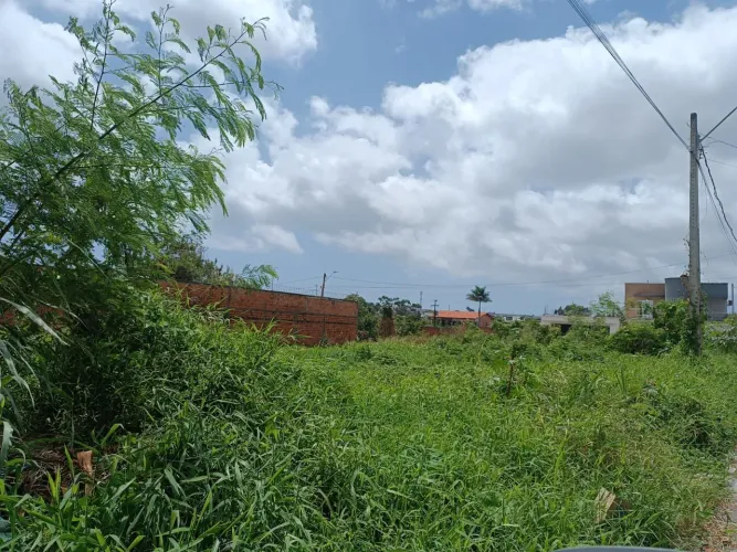 Terreno Imperdível - 800 m² | Excelente Localização