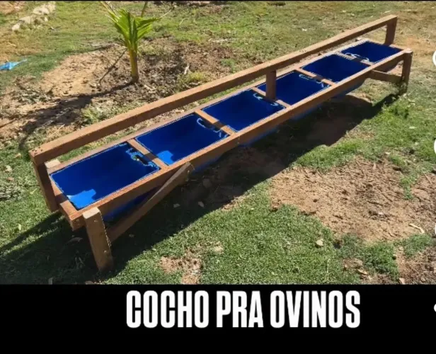COCHO PARA OVINOS