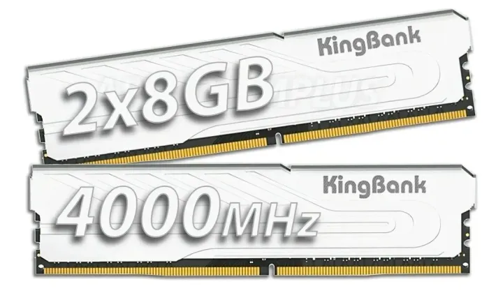 Memoria ddr4 (2x8GB)