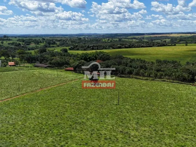 Chácara 1 alqueire e 16 litros (5,61 hectares) Bela Vista de Goiás - Go