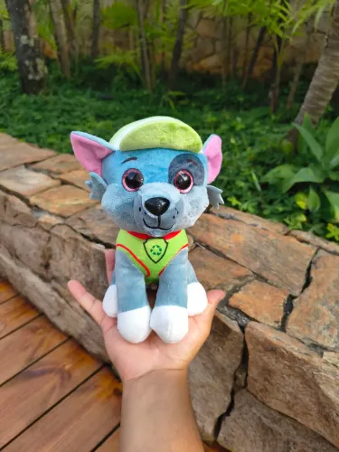 Patrulha Canina