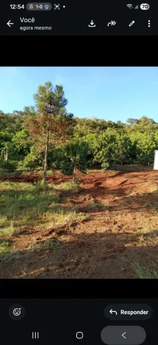 Vendo chácara próximo ao distrito de maravilha