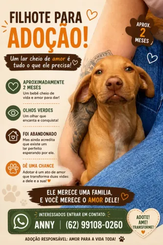 ADOÇAO DE UM FILHOTE