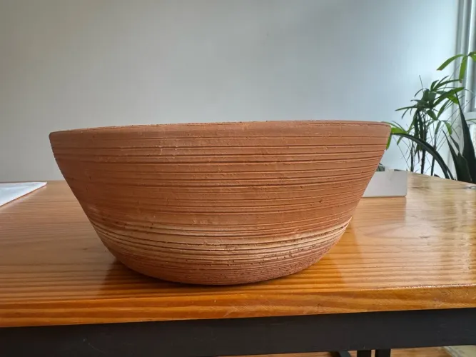 Vaso planta