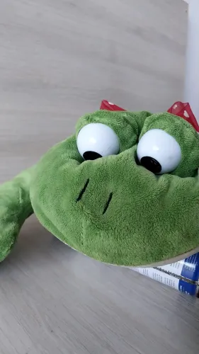Sapo de pelúcia grande ?