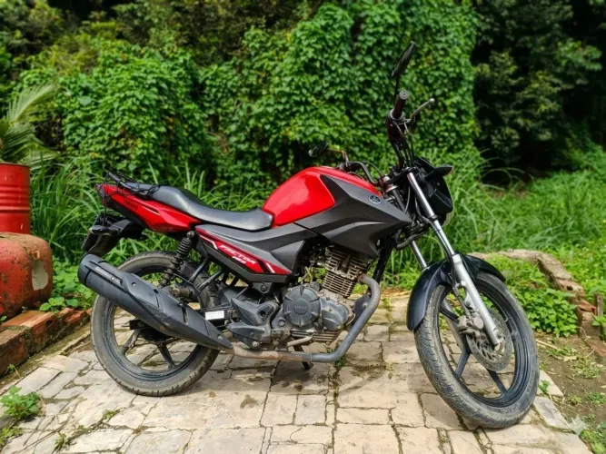 Fator 150 2022