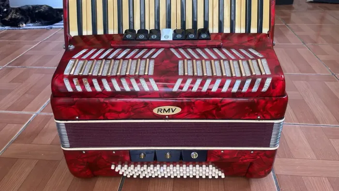 Acordion 80 baixos, electrocutada.4,000$