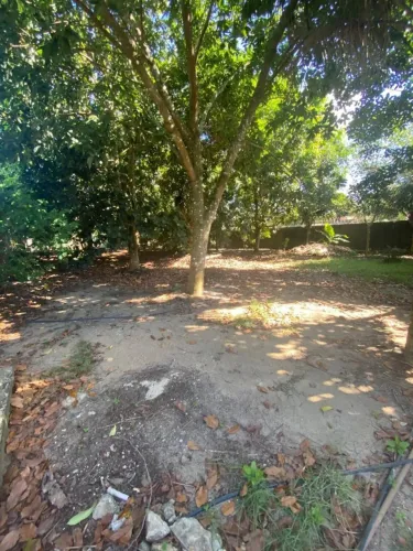 Terreno no lago azul