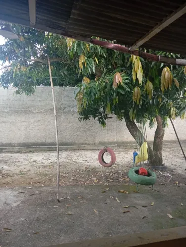 Vanda de casa