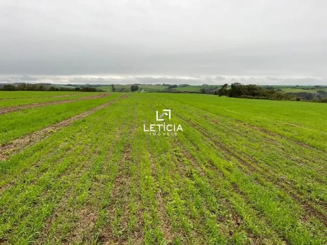 Área rural de 126 ha em Salto do Jucuí - RS