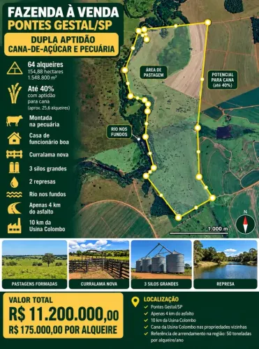 FAZENDA À VENDA PONTES GESTAL/SP DUPLA APTIDÃO: CANA-DE-AÇÚCAR E PECUÁRIA!