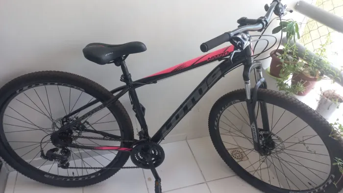 Bicicleta Lotus Aro 29