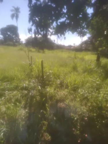 Vendo área de 6400 metros