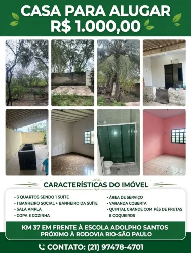 Alugo Casa Ampla, com vários pés de frutas no quintal
