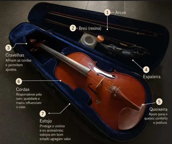 Violino Completo 