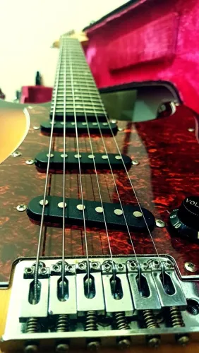 Giannini Sonic X Series Sunburst 2012