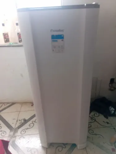 Geladeira esmaltec 220 voltes 700 reais 