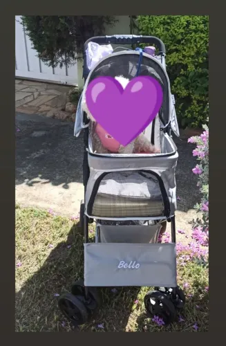 Carinho pet. Até 12 kilos.