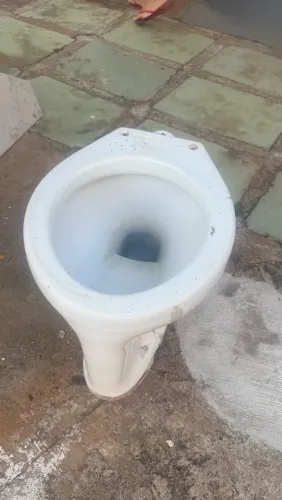 Vaso sanitário e pia