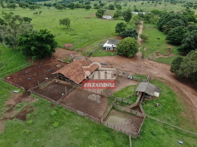 Fazenda a 180 km Goiânia - Área total: 397 alqueires (1.925 Há)