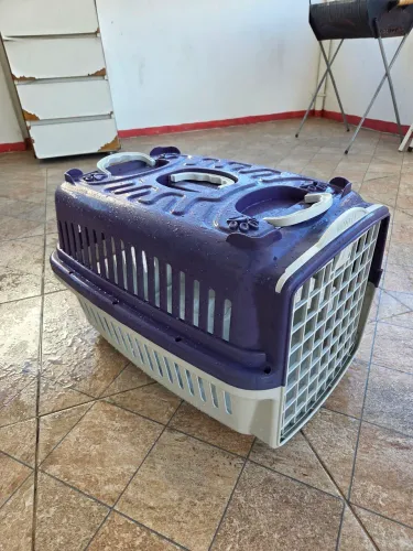 Caixa de Transporte Porte Médio Seminova