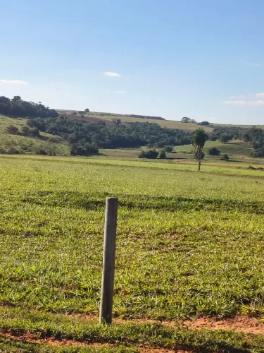 FAZENDA À VENDA DUPLA APTIDÃO REGIÃO DE PRESIDENTE PRUDENTE/SP