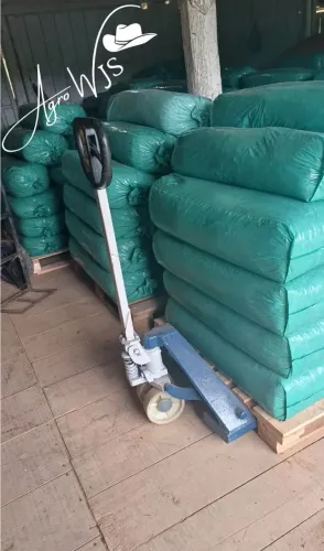 Silagem de milho ensacada 