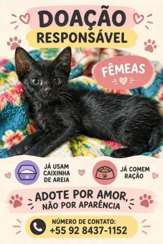 Adoção