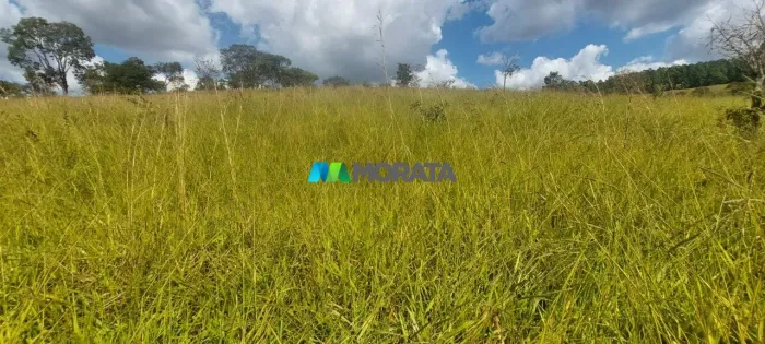 FAZENDA À VENDA - 106 HECTARES - ITAÚNA (MG)